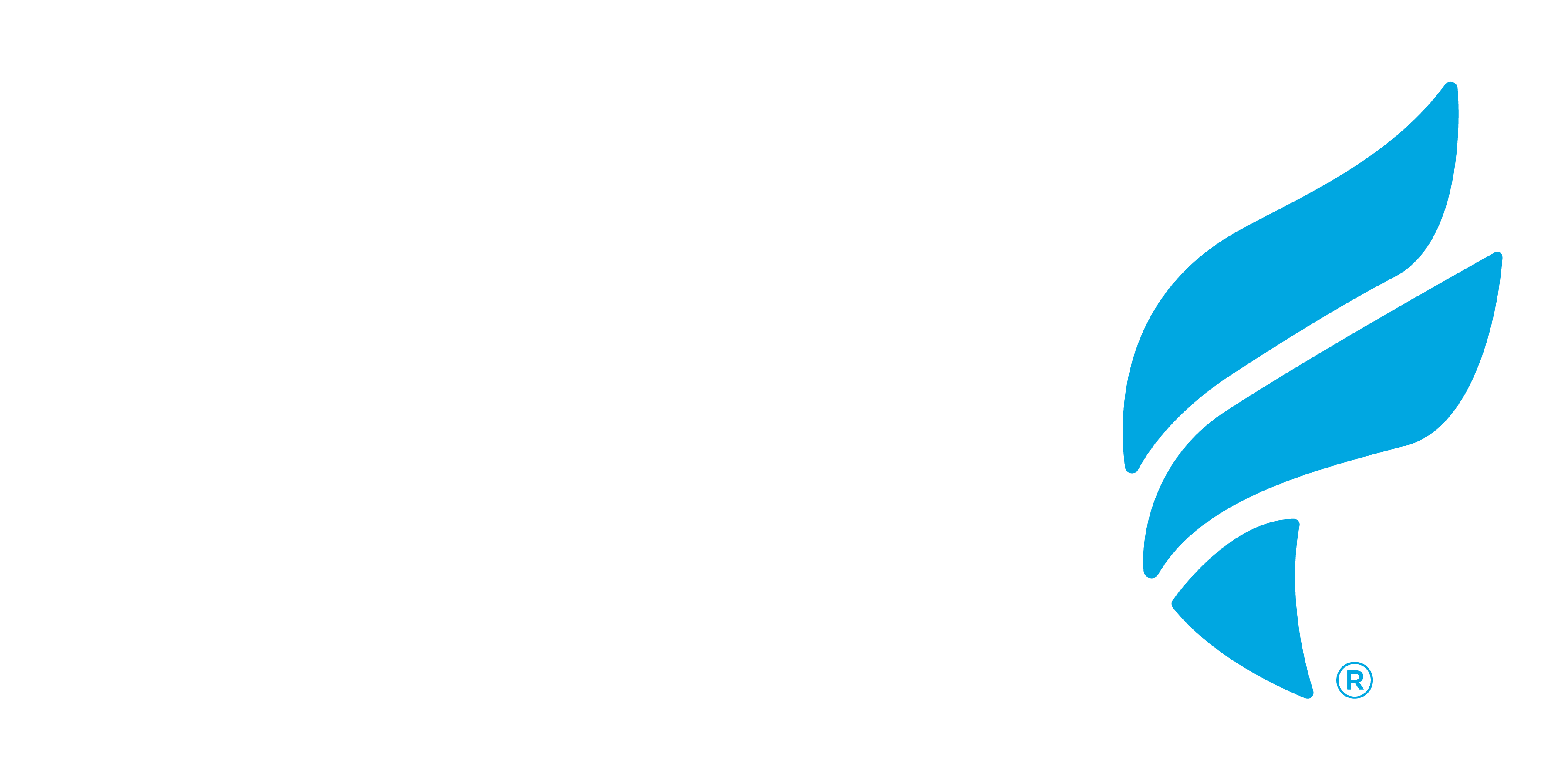 Fleet Feet logo