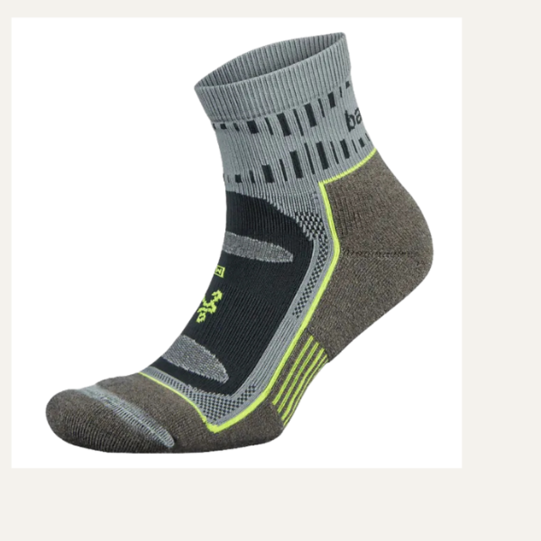 Balega Blister Resist Quarter Socks